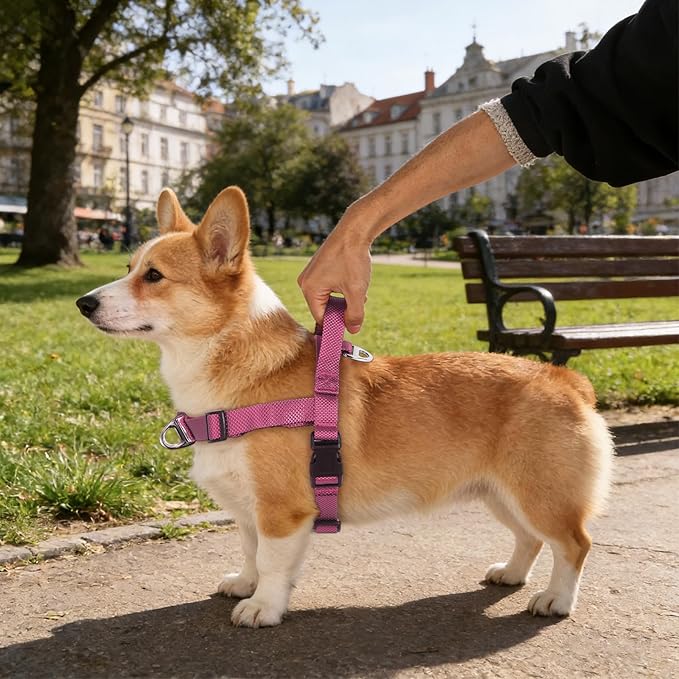 Annchwool No Pull Dog Harness with Front Clip and Easy Control Handle-Belly & Chest Adjustable Dog Harness and Leash Set for Medium Large Dogs-Heavy Duty Vest Harnesses Easy for Walking(Pink,XL)