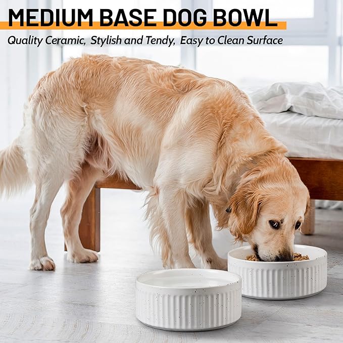Non-Slip Ceramic Dog Bowls,8" Dog Food and Water Bowl Set with Silicone Base, 64oz/8cups Weighted Flip-Proof Pet Feeding Bowl for Medium and Large Dogs (2Pack,White)
