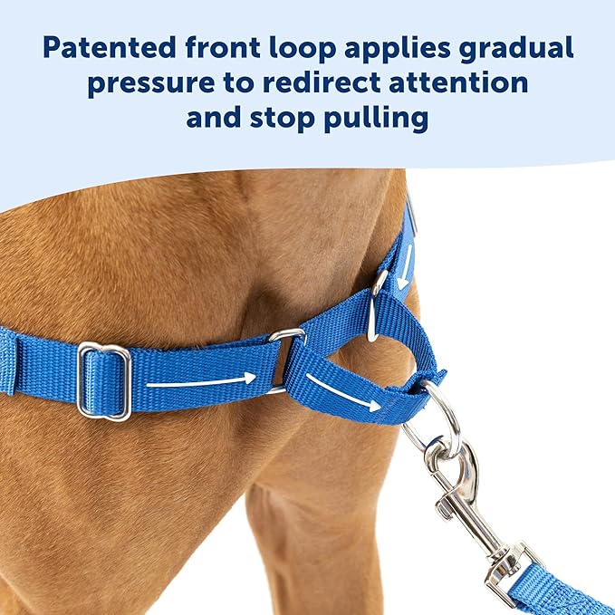 PetSafe Easy Walk Harness for Dogs - Pull-Free Walks - Patented Martingale Loop Design - Front Chest Leash Attachment - Comfort Straps - Breathable Harness Design - Medium/Large, Black/Silver