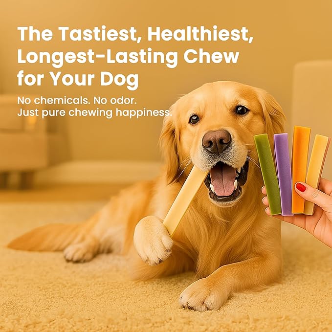 KATHMANDU'S 100% Natural Turmeric Flavored Yak Chews – Keep Dogs Busy & Happy with Our Lactose&Rawhide Free Himalayan Dog Chews - Long Lasting Dental Treats for Aggressive Chewers (Large, Pack of 4)