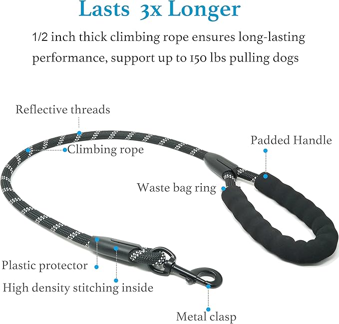 iYoShop Dual Dog Leash - 360° Swivel, No Tangle Walking Leash with Shock Absorbing Bungee for Two Dogs (Medium, 8-35 lbs, Black)