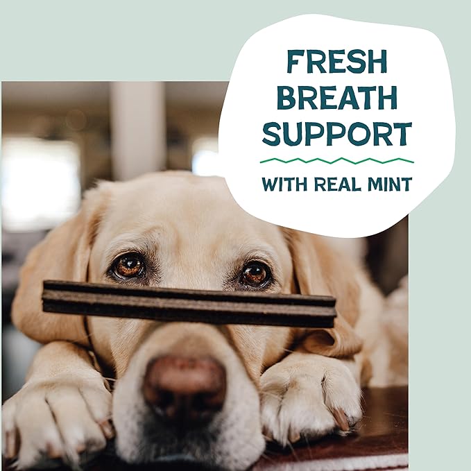 Shameless Pets Chicken & Mint Dental Chews for Dogs, 32 Chews - Natural Dog Teeth Cleaning Treats with Fresh Breath Benefits | Grain-Free Dental Sticks for Small, Medium & Large Dogs