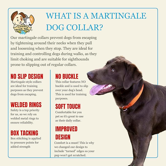 Country Brook Petz - Martingale Dog Collar - Heavy-Duty Training Collar with No Buckle - Service Dog Collar for All Pups - 10+ Warm Colors (Orange, 3/4 Inch, Small)