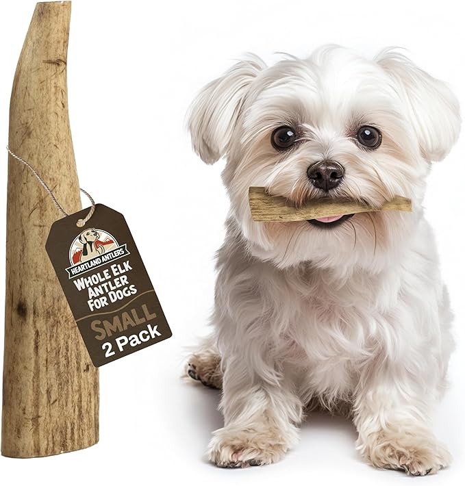 Heartland Elk Antlers for Dogs - Daily Dental Chews for Small Breed Aggressive Chewers to Promote Healthy Teeth & Prevent Destructive Behavior (Whole Elk, 4-5", 2-Pack, USA Made)