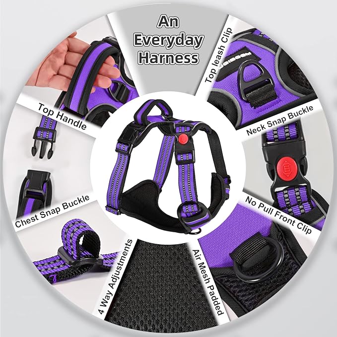 No Pull Dog Harness with Free Heavy Duty 5ft Leash, Adjustable Soft Padded Dog Vest, Reflective No-Choke Oxford Vest for Large Dogs (Purple)