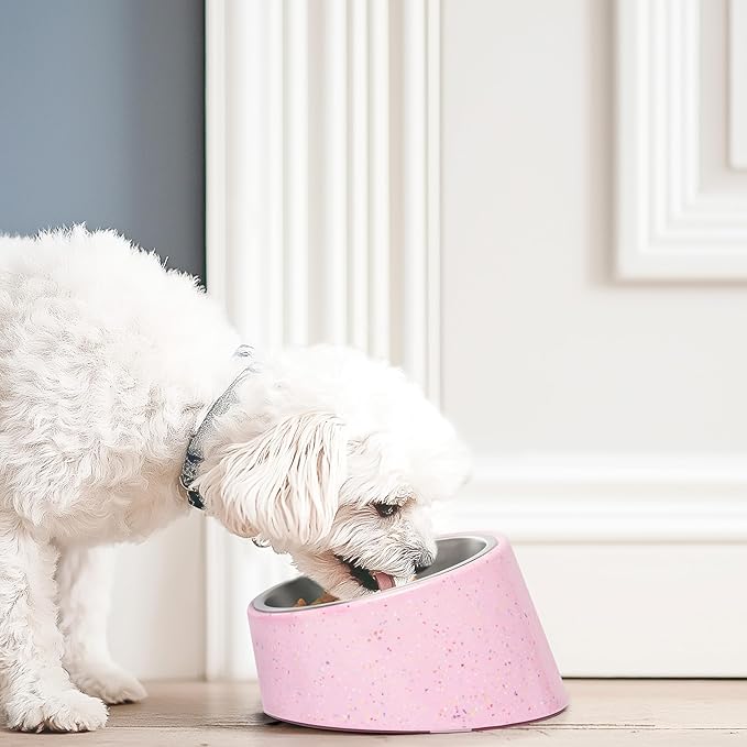 Bzyoo 2 Cup Tilted Dog Bowl for Small Dogs & Cats, Stylish Sprinkle Design, Elevated, Stainless Steel 16oz Inner Bowl, Non-Skid, Reduce Spillage, BPA-Free, Dishwasher Safe Color:Blue