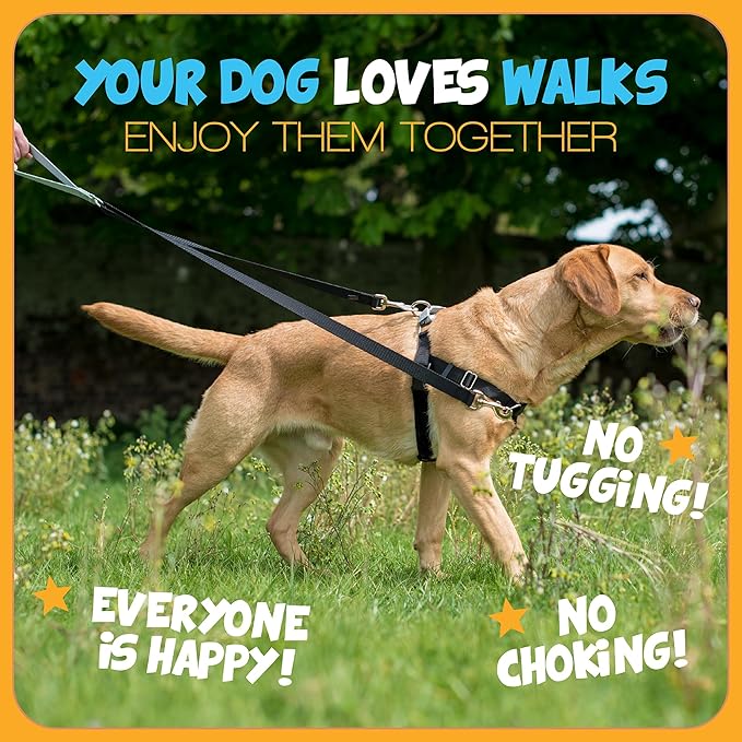 2 Hounds Design - Freedom No-Pull Harness & Training Leash in Pink and Blue | Dual Leash Loops, No Pulling on Walks | Lined to Prevent Chaffing | for Small Sized Dogs (Size S, Chest 20”- 24”)