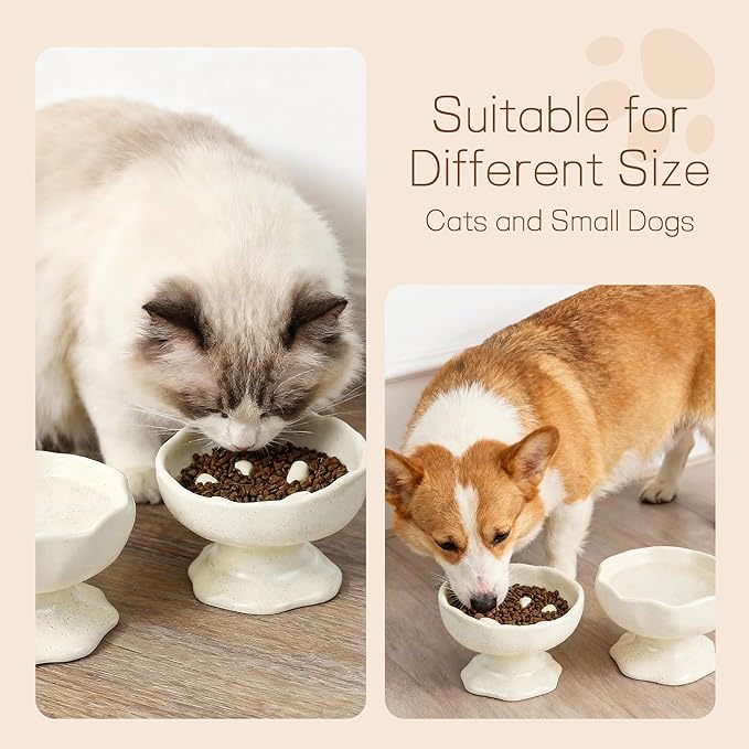 Ceramic Elevated Cat Bowl Set, Tilted Slow Feeder Bowl & Water Bowl for Cats, Kittens and Small Dogs, Neck Protection, Anti-Vomiting Design, Whisker Friendly, Stylish Speckled White