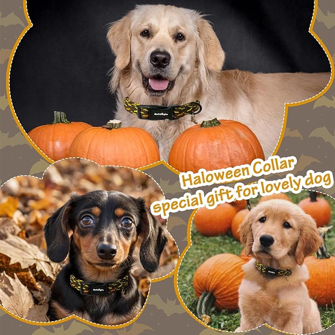 Fall Dog Collar, Halloween Dog Collars for Medium Dogs, Cotton Puppy Collar with Bat Pattern, Pet Collar for Small Medium Large Dogs, Girl Boy Dogs Collar with Quick Release Buckle-M