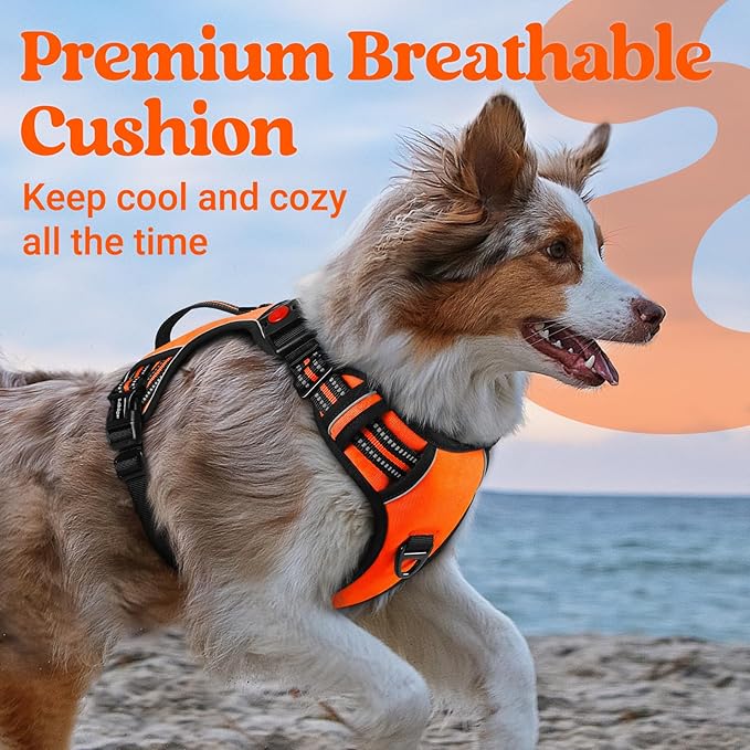 rabbitgoo Dog Harness for Large Dogs, No Pull Pet Harness with Soft Padded Handle, Adjustable Reflective Vest with 3 Buckles, Easy Walking Harness with 2 Leash Clips, Orange, L
