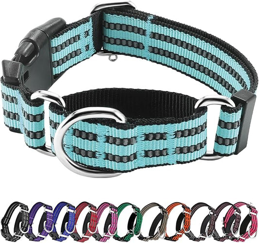 Hikiko Martingale Dog Collars Reflective Nylon Dog Collar with Quick Release Buckle Adjustable Training No Slip Dog Collar (Medium, Sky Blue)