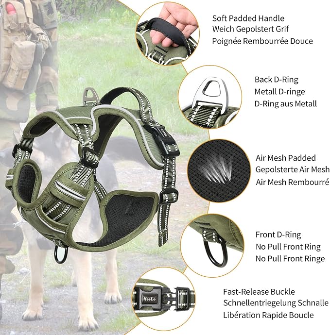 HEELE Dog Harness, Dog Harness for Small Medium Large Dogs No Pull Adjustable Padded Reflective Harness with Handle for Walking Training, Green, XL