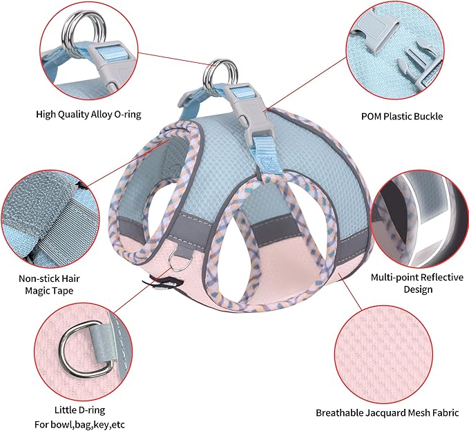 AIITLE Dog Harness and Leash Set - Ultra-Comfortable XXS-XL Vest with Strong Magic Tape & Glow-in-Dark Reflective Strips, Chafe-Free for Teddy, Schnauzer (Blue-Pink, M)