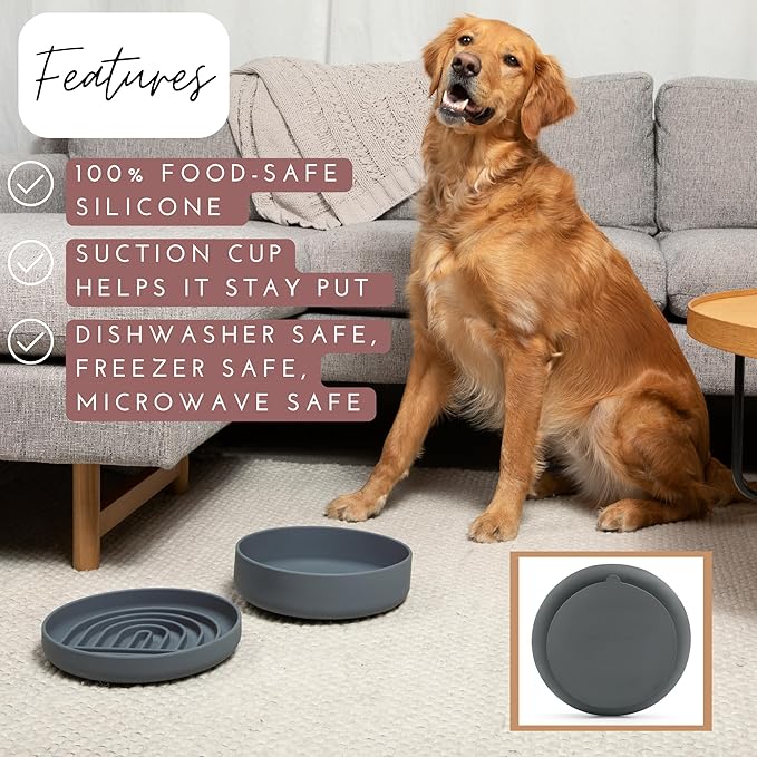 Should We Go? Slow Feeder for Dogs & Puppies, The Slowdown Bowl Silicone Slow Eating, Modern Lick Mat Design, Reduces Gulping, Fits 2.5 Cups 9.5” Across x 1.5” Tall, Mealtime Challenge, Large-Charcoal