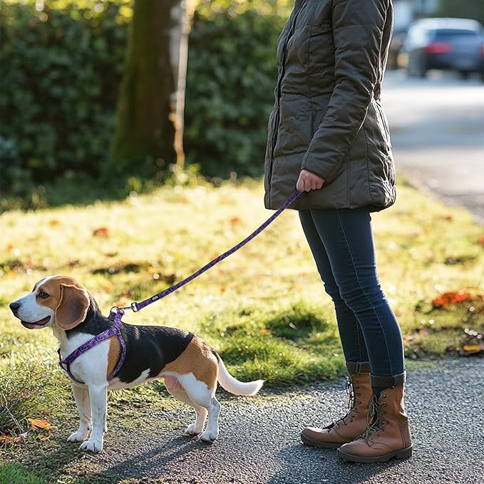 QQPETS Dog Harness Leash Set Adjustable Heavy Duty No Pull Halter Harnesses for Small Medium Large Breed Dogs Back Clip Anti-Twist Perfect for Walking