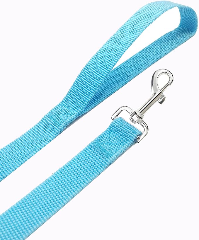 SALO Nylon Training Dog Leash for Small Medium Large Dogs, 1 Inch Wide, 20ft 30ft 40ft 50ft Long Leash Dog/Puppy Lead for Obedience Recall Training, Camping, or Backyard (40 Foot, Sky Blue)