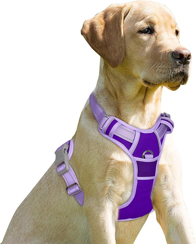 BARKBAY No Pull Dog Harness Front Clip Heavy Duty Reflective Easy Control Handle for Large Dog Walking(Violet Purple & Purple,M)