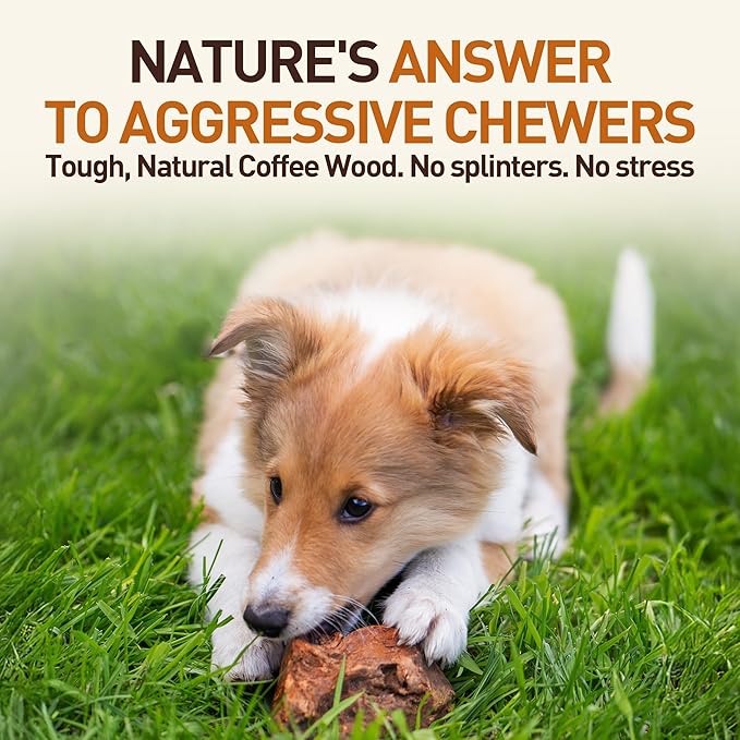Wildfang® Briar Wood Chewing Root, Large - Splinter Free Wood Dog Chew Toys for Aggressive Chewer, Odorless Natural Teething Toys Dogs Dental Health, Healthy Gums (for Dogs 55-99 lbs), Pack of 1