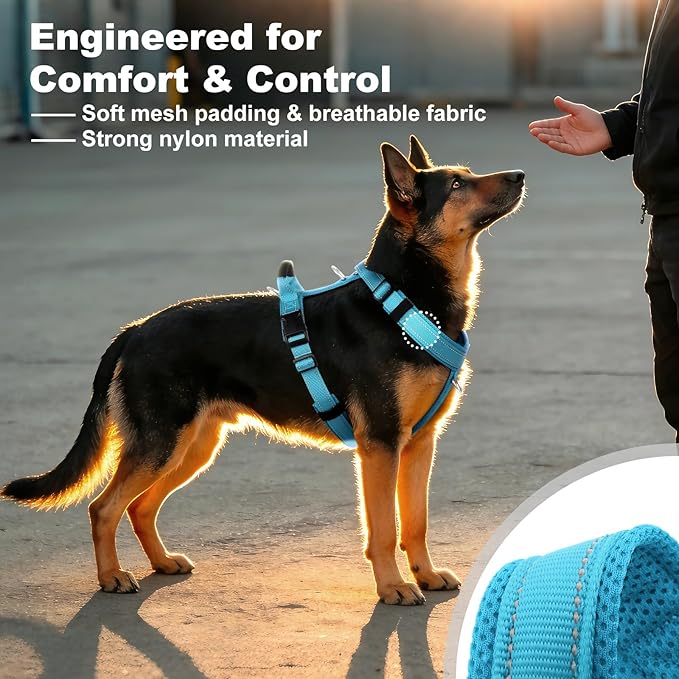 No Pull Dog Harness with Handle, Soft Mesh Padded Adjustable for Small Medium Large Dogs | Reflective Easy Walk Harness with Front Clip for Training, Running & Outdoor (Cyan, XS)