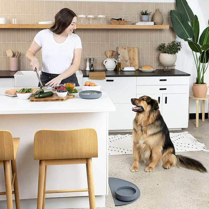 Should We Go? Complete Pet Feeding Set: Slow Feeder & Water Bowl with Spill-Proof Silicone Mat - Ideal for Small to Medium Dogs, Non-Slip, Easy Clean, Raised Edges, Durable Silicone - Blush