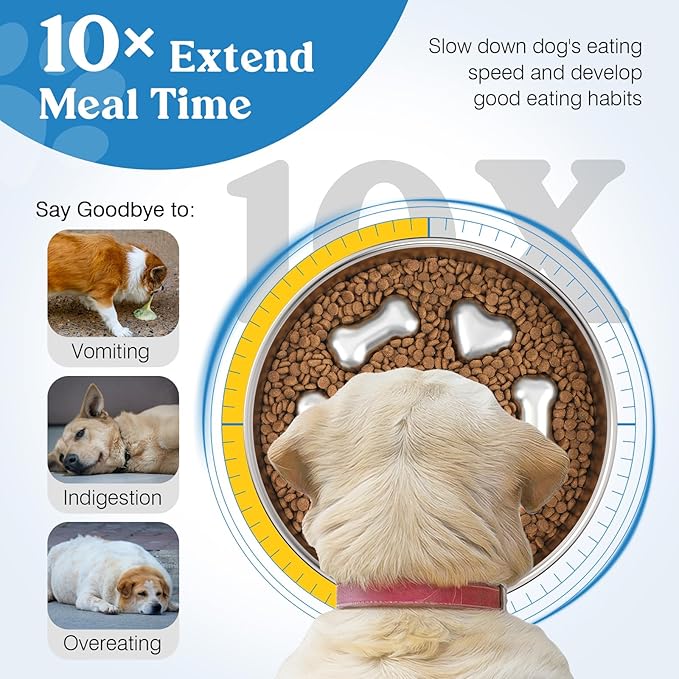 2Pcs Slow Feeder Dog Bowls, 5 Cups Stainless Steel Dog Slow Feeder Metal Pet Food Bowl with Non-Slip Base for Medium & Large Breed, Bloat Stop, Food-Grade, Dishwasher Safe
