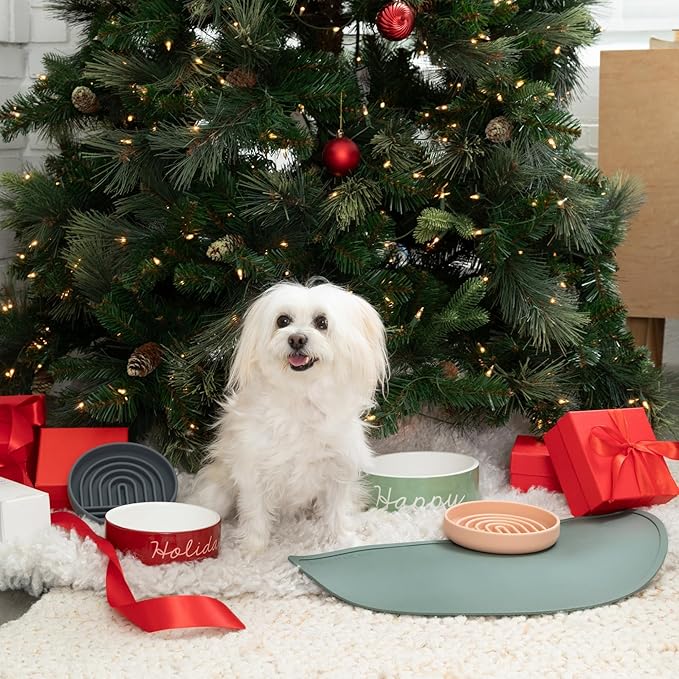 Should We Go? - Waterproof Silicone Pet Food Mat - Non-Slip, Spill-Proof Feeding Mats for Floors, Raised Edge Design, Easy-to-Clean, Rubber Mat for Dog & Cat Bowls, 28" Across x 14" Deep, Large-Sage