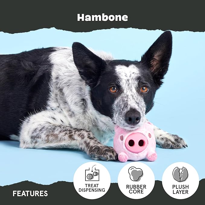 Barkbox Hambone Super Chewer Tough Dog Chew Toy for Aggressive Chewers, Plush Cover with Rubber Core - 2 Toys in 1 – Two Layer Treat Dispensing Dog Toy for Large Dogs