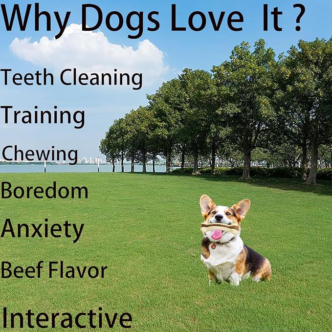 Dog Bones Chew Toys for Aggressive Chewers, 2 Pack Real Beef Flavor,Indestructible Dog Teething Chew Toys for Large/Medium/Small Breed,Tough Toy with Durable Nylon