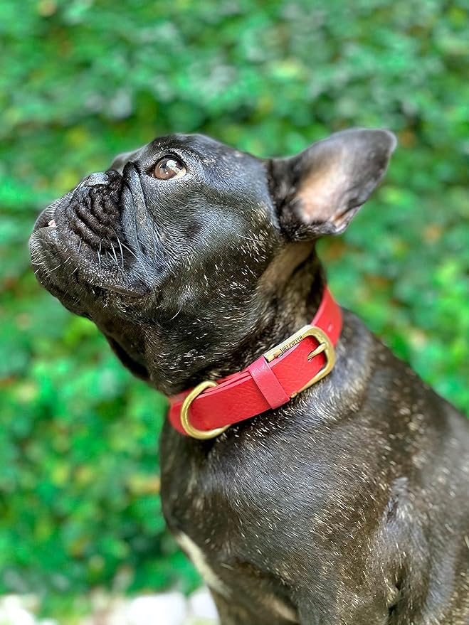 Tuff Pupper Classic Heavy Duty Dog Collar | 10x Stronger Than Leather | 100% Waterproof & Odor Proof Dog Collar | Tough Rust-Proof All Metal Hardware