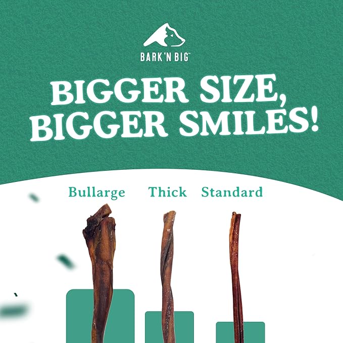 BARK'N BIG 12 Inch Monster Bully Sticks for Large Dogs - Colossal Bullarge Size - Made in USA - Single Ingredient Dog Chew - Super Premium Pizzle Sticks - Jumbo Beef Pizzles for Large Breeds - 1 ct