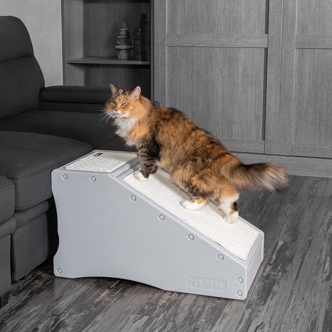 Pet Gear Stramp Stair and Ramp Combination for Dogs/Cats, Easy Step, Lightweight/Portable, Sturdy, Easy Assembly (No Tools Required) 1 Model, Available in 6 Colors