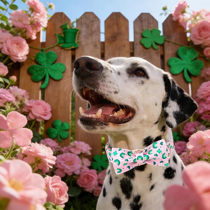 Maca Bates St. Patrick's Day Shamrock Dog Collar,Fancy Bow Tie,Small Girl Boy Dogs, Pink,Green Rainbow,Four Leaf Clover Pattern,Adjustable Durable Soft Collars Irish Gift for Male Female Puppy