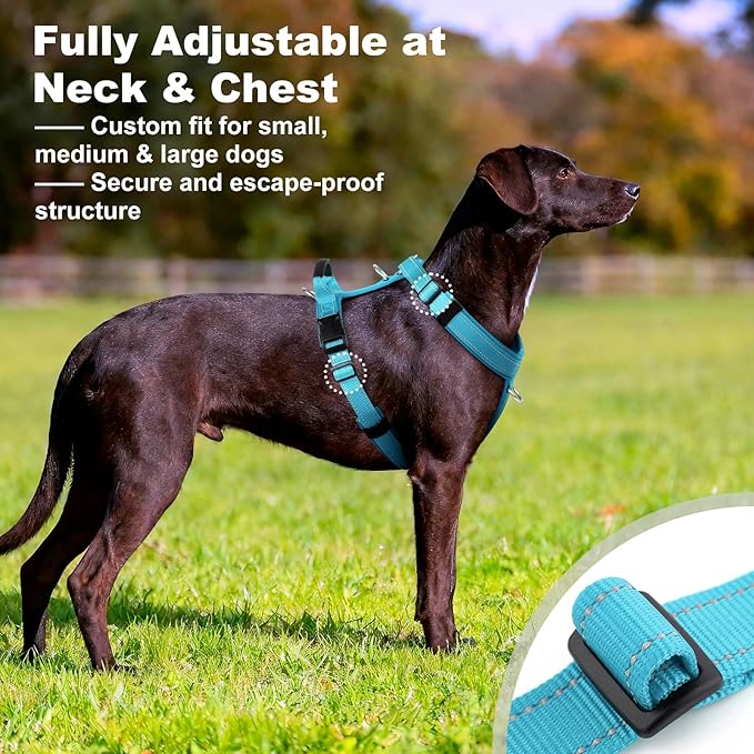 No Pull Dog Harness with Handle, Soft Mesh Padded Adjustable for Small Medium Large Dogs | Reflective Easy Walk Harness with Front Clip for Training, Running & Outdoor (Cyan, XS)