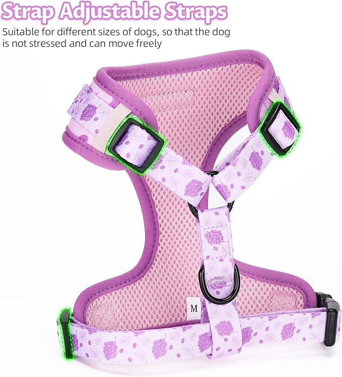 Dog Harness and Leash Set, Adjustable Dog Harness, Dog Leash, No Pull No Choke Puppy Harnesses for Walking Training for Small Medium Pet (Wines, S(Chest 13-19", Neck 9.5-13.1"))