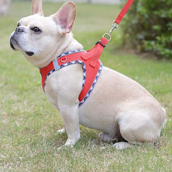 Mercano Soft Mesh Dog Harness and Leash Set, No-Chock Step-in Reflective Breathable Lightweight Easy Walk Vest Harnesses with Safety Buckle for Small Dogs, Cats (Red, XL)