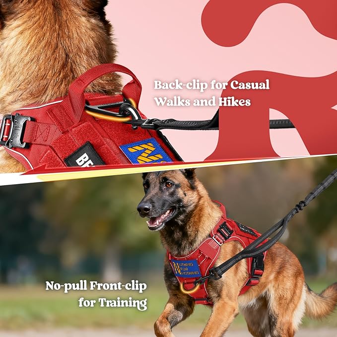rabbitgoo Tactical Dog Harness Medium Large Sized, No Pull Upgraded Reflective Heavy Duty Molle Vest with Handle, Adjustable Military Service Dog Vest for Walking Hiking Training, Red, M