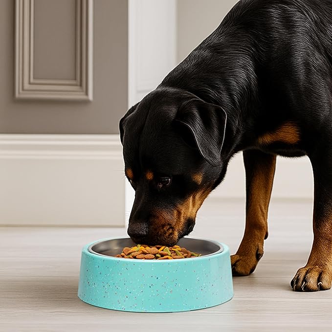 bzyoo 32oz 4CUP Elevated Dog & Cat Bowl, Sprinkle Design, Slanted Stainless Steel Pet Bowl with Removable Inner Bowl, Non-Slip Silicone Base, Dishwasher Safe, for Dry/Wet/Raw Food & Water Green