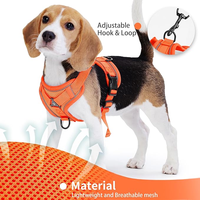 No Pull Dog Harness with Leash Set for Small Sized Dog, Reflective Adjustable No Choke Front Clip Cat Vest Harness with Breathable Mesh, Comfortable Soft Padded Pet Vest, Orange S