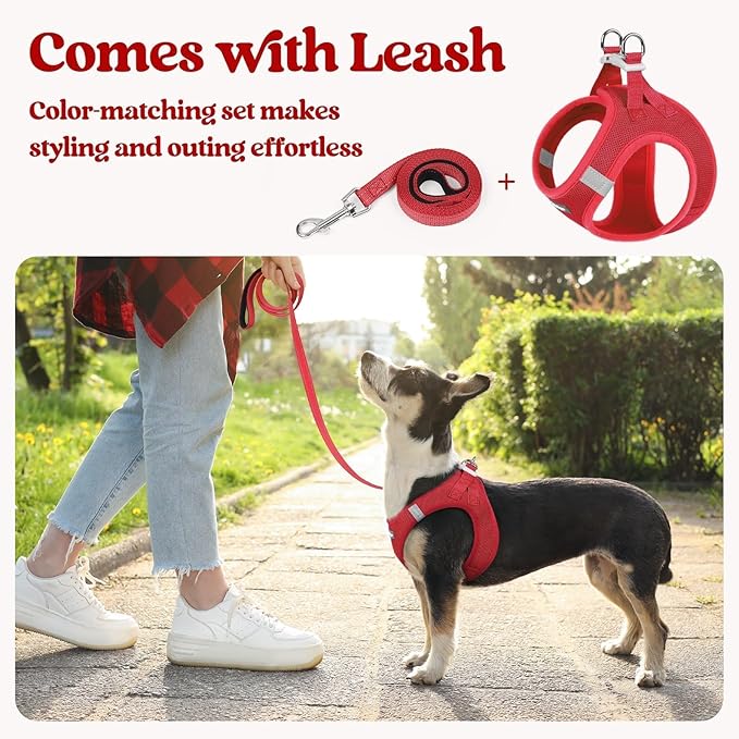 rabbitgoo Dog Harness Small Medium Sized and Leash Set, Step in Soft Light Puppy Vest, Breathable Mesh Pet Harness, Reflective for Safe Easy Walking, Red L