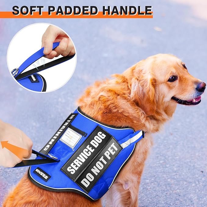 WINSEE Dog Harness & Leash Set, Small Blue, Emotional Support Therapy Vest with 10 Patches, Reflective, Adjustable, for Medium & Large Dogs