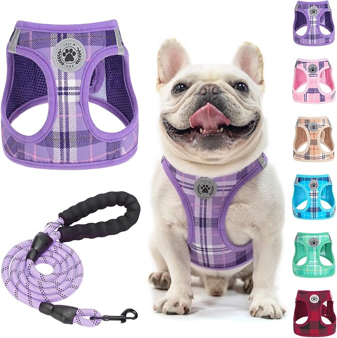 BEAUTYZOO Small Dog Harness and Leash Set, Step in No Choke No Pull Soft Mesh Dog Harnesses Reflective for Extra-Small/Small Medium Puppy Dogs and Cats, Plaid Dog Vest Harness for XS S Pets, Purple M