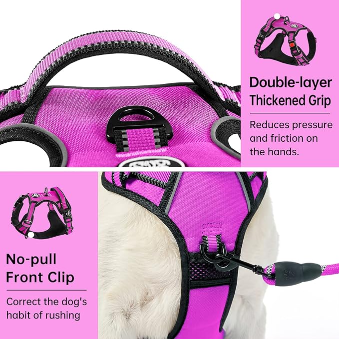 IVY&LANE No Pull Dog Harness for Large Dogs, Dog Vest Harness with Leash, Safety Belt and Storage Strap, Fully Adjustable Harness, 360° Reflective Strip, Soft Handle (Fuchsia Pink, L)