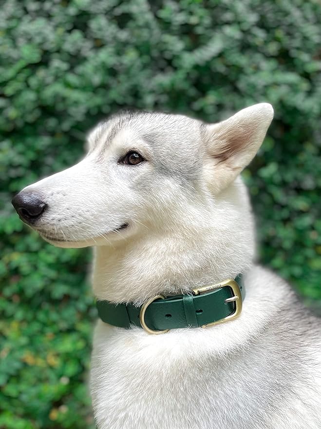 Tuff Pupper Classic Heavy Duty Dog Collar | 10x Stronger Than Leather | 100% Waterproof & Odor Proof Dog Collar | Tough Rust-Proof All Metal Hardware