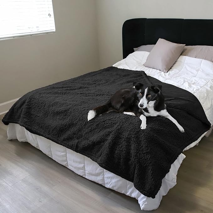 Kritter Planet Waterproof Bed Blanket for Dogs, Washable Stain Proof Pad Bed Cover, Reversible Leakproof Furniture Protector, Liquid Pee Proof Blanket for Couch Sofa, 80x60 inch, Queen Size, Black