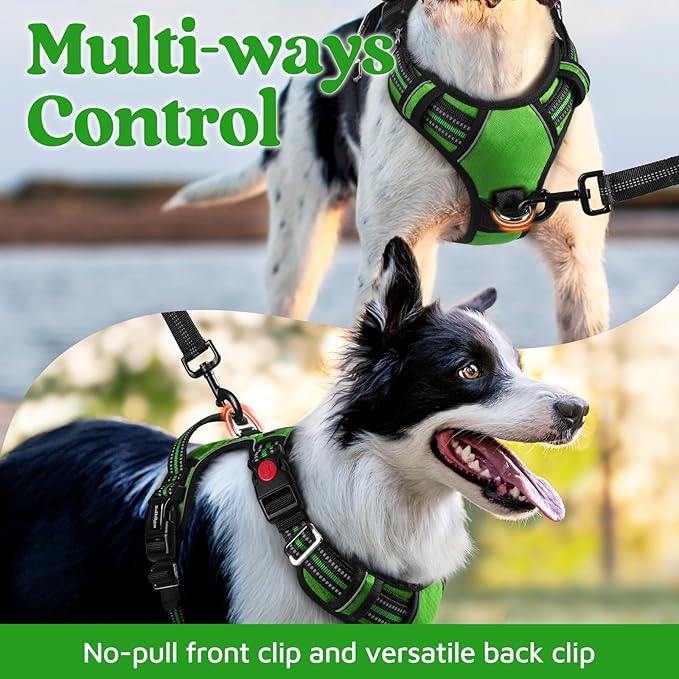 rabbitgoo Dog Harness Small Sized, No Pull Dog Vest with 3 Buckles, Adjustable Soft Padded Pet Harness with Easy Control Handle and Reflective Strips, Green, S