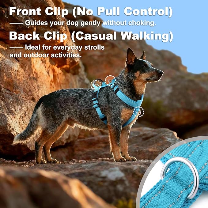 No Pull Dog Harness with Handle, Soft Mesh Padded Adjustable for Small Medium Large Dogs | Reflective Easy Walk Harness with Front Clip for Training, Running & Outdoor (Cyan, XS)