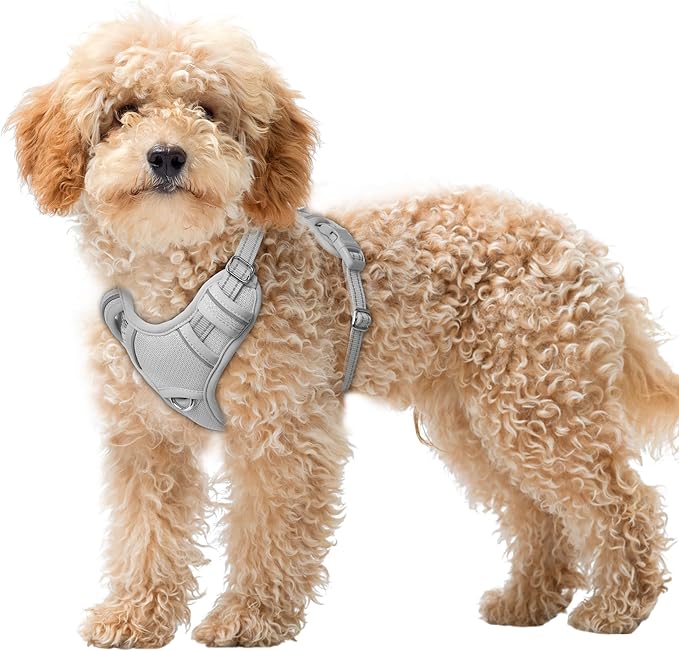BARKBAY No Pull Dog Harness Large Reflective Dog Harness with Front Clip and Easy Control Handle for Walking Training Running with ID tag Pocket(Grey,XS)