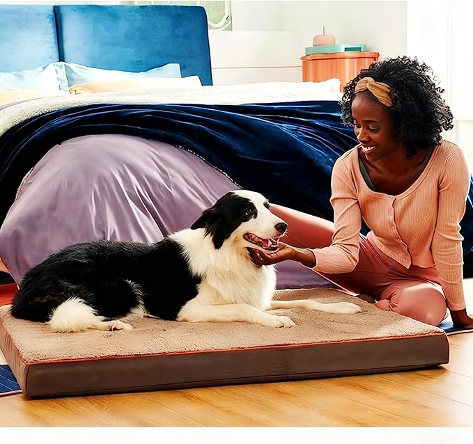Dog Bed with Waterproof Inner Liner, Removable Cover, Egg Crate Foam Dog Beds, Easy to Clean，36×26Inch，Gray