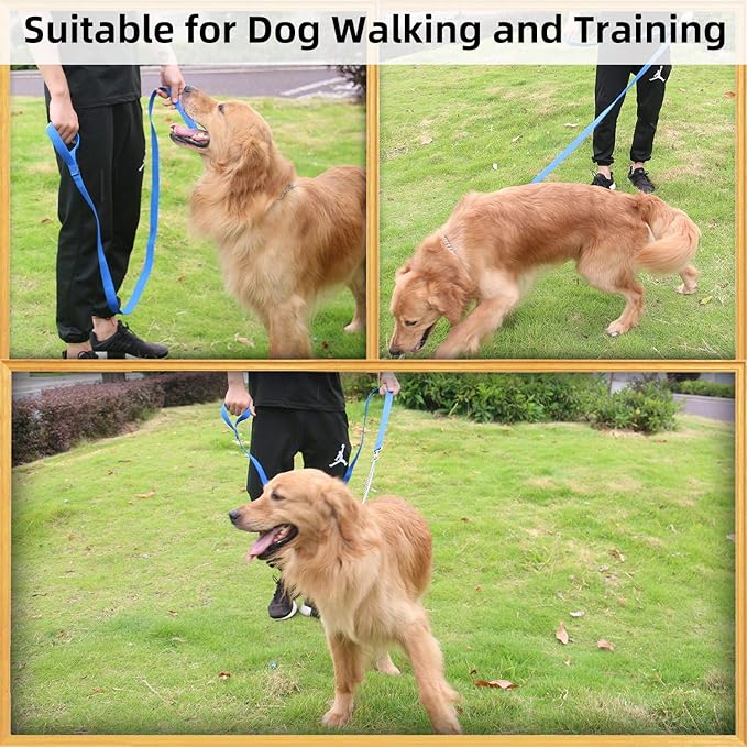 AMAGOOD 6 FT Puppy/Dog Leash, Strong and Durable Traditional Style Leash with Easy to Use Collar Hook, Great for Small, Medium and Large Dogs (1 in x 6 ft(Pack of 1), Blue)