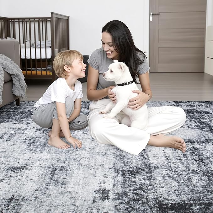 5x7 Area Rug Living Room Rug: Washable Modern Abstract Soft Thin Rug Indoor Floor No Slip Stain Resistant Carpet for Bedroom Dining Room Farmhouse Nursery Home Office - Dark Black